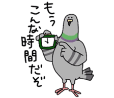 Pigeon 2 sticker #2040990