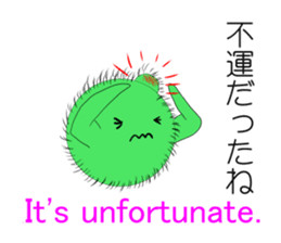 Happy MARIMO in HOKKAIDO sticker #2041134