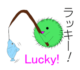 Happy MARIMO in HOKKAIDO sticker #2041137