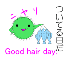 Happy MARIMO in HOKKAIDO sticker #2041138