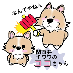 The long coat Chihuahua called coco.