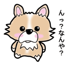 The long coat Chihuahua called coco. sticker #2044413