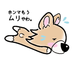 The long coat Chihuahua called coco. sticker #2044415