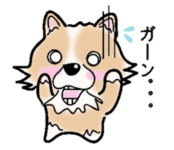 The long coat Chihuahua called coco. sticker #2044417