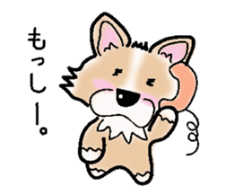 The long coat Chihuahua called coco. sticker #2044418