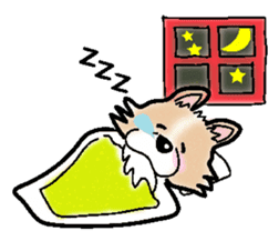 The long coat Chihuahua called coco. sticker #2044421