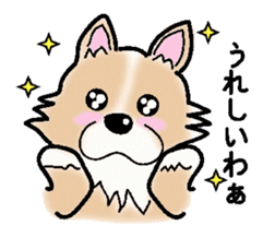 The long coat Chihuahua called coco. sticker #2044422