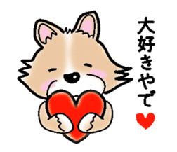 The long coat Chihuahua called coco. sticker #2044424