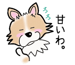 The long coat Chihuahua called coco. sticker #2044425