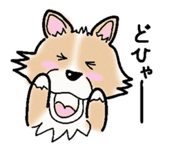 The long coat Chihuahua called coco. sticker #2044427