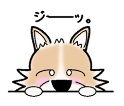 The long coat Chihuahua called coco. sticker #2044428