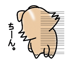 The long coat Chihuahua called coco. sticker #2044429