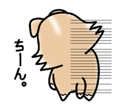 The long coat Chihuahua called coco. sticker #2044429