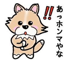 The long coat Chihuahua called coco. sticker #2044430