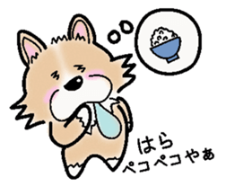 The long coat Chihuahua called coco. sticker #2044431