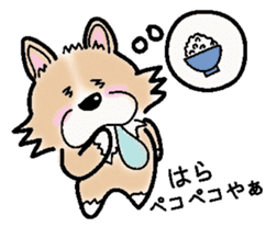 The long coat Chihuahua called coco. sticker #2044431