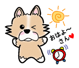 The long coat Chihuahua called coco. sticker #2044436