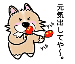 The long coat Chihuahua called coco. sticker #2044437