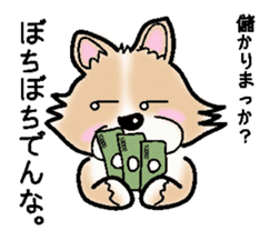 The long coat Chihuahua called coco. sticker #2044439