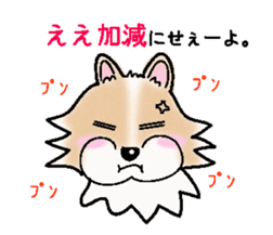 The long coat Chihuahua called coco. sticker #2044442