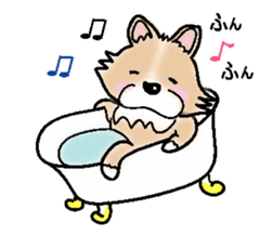 The long coat Chihuahua called coco. sticker #2044443