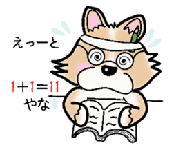 The long coat Chihuahua called coco. sticker #2044446