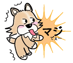 The long coat Chihuahua called coco. sticker #2044447