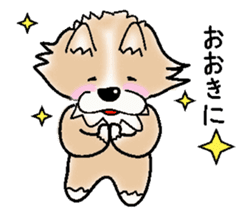 The long coat Chihuahua called coco. sticker #2044450