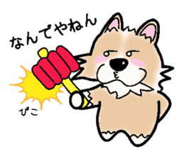 The long coat Chihuahua called coco. sticker #2044451