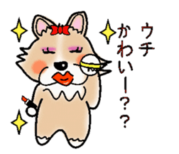 The long coat Chihuahua called coco. sticker #2044452