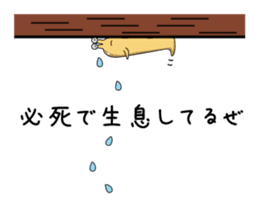 kizaname kujirou sticker #2044671