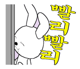 21th edition white rabbit expressive sticker #2046502