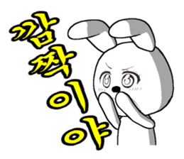 21th edition white rabbit expressive sticker #2046510