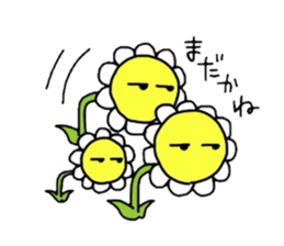 pom&friends sticker #2048052