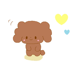 It is same as a toy poodle anytime sticker #2048818