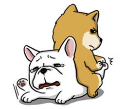 DOCA sticker #2050672