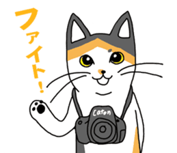 Cat Camera sticker #2053655