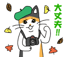 Cat Camera sticker #2053667