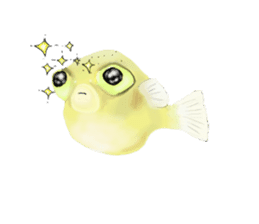 Dwarf pufferfish fugupan sticker #2053735