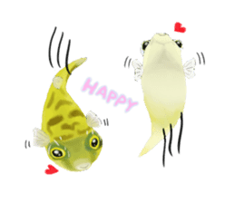 Dwarf pufferfish fugupan sticker #2053736