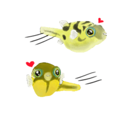Dwarf pufferfish fugupan sticker #2053737