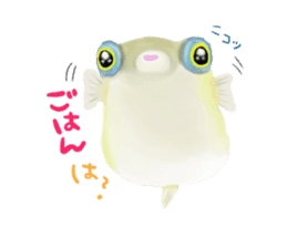 Dwarf pufferfish fugupan sticker #2053738