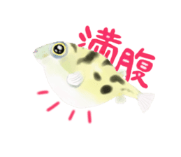 Dwarf pufferfish fugupan sticker #2053739