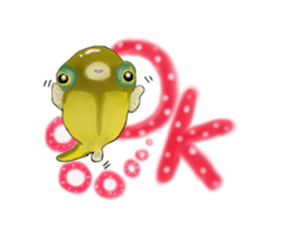 Dwarf pufferfish fugupan sticker #2053740