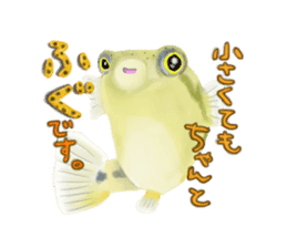 Dwarf pufferfish fugupan sticker #2053742