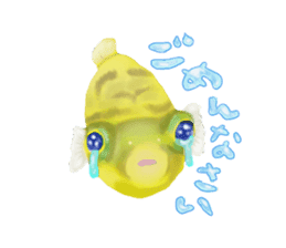 Dwarf pufferfish fugupan sticker #2053744