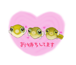 Dwarf pufferfish fugupan sticker #2053746