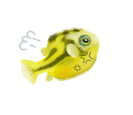 Dwarf pufferfish fugupan sticker #2053747