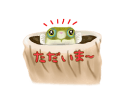 Dwarf pufferfish fugupan sticker #2053750