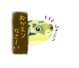 Dwarf pufferfish fugupan sticker #2053751